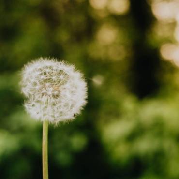 Blessing: John O’Donohue (April 2020)