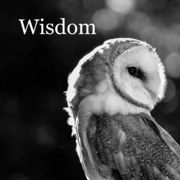 Quote – Anthony de Mello